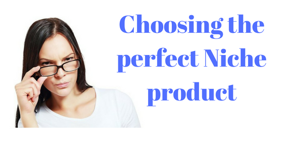 How to choose a Product Niche for Your Dropshipping Store