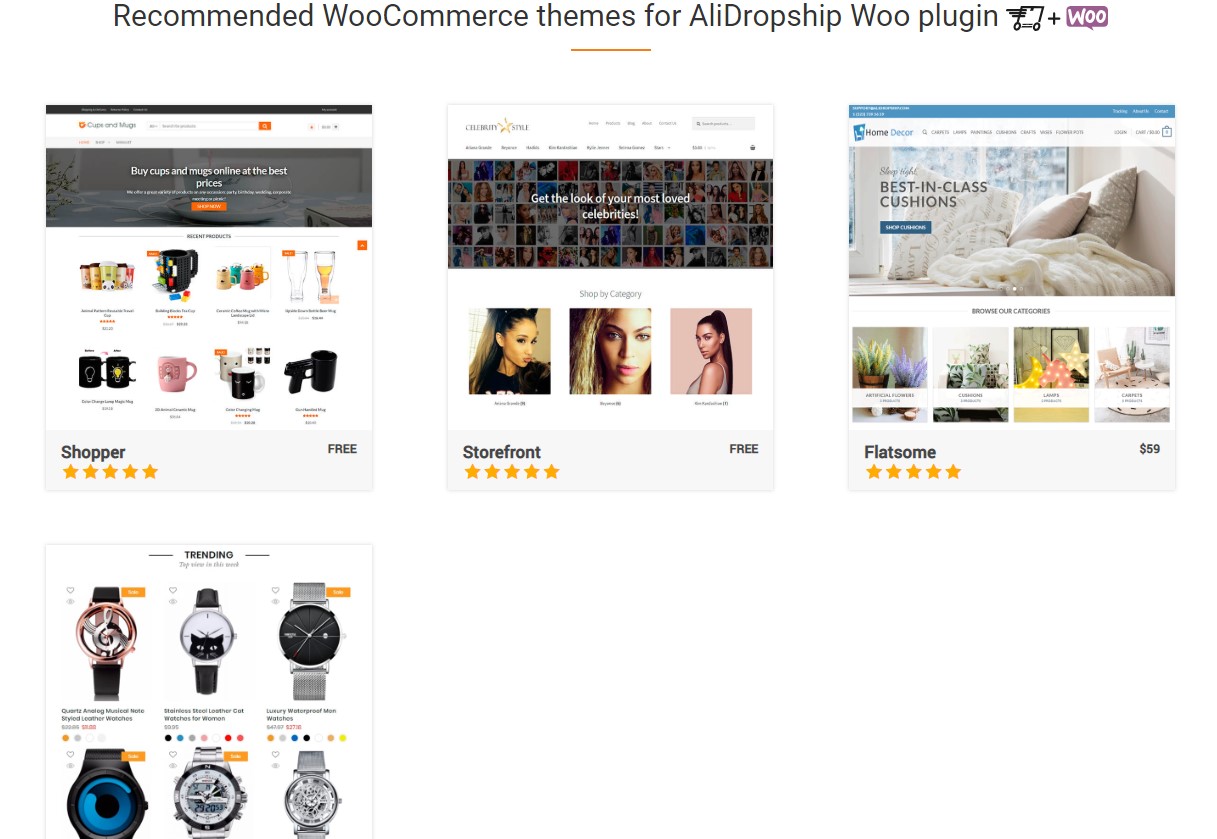 recommended woocommerce theme for alidropship woo plugin