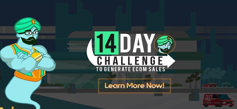 product list genie 14days challenge
