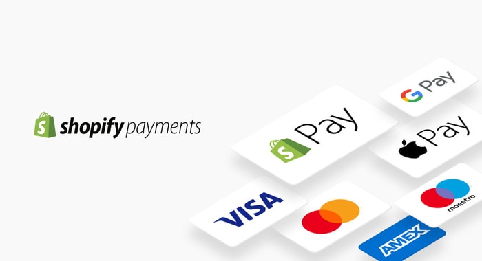 shopify payment gateway as one of the best paypal alternatives for dropshipping