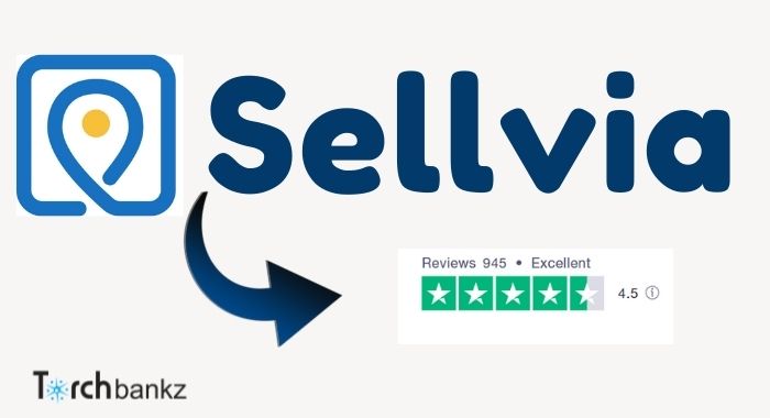 Sellvia Review: Real User’s Experience [Pros and Cons]