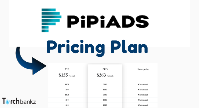 PiPiads Pricing Plan