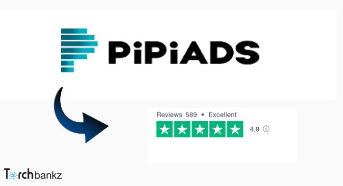 PiPiads Review: TikTok Ad Spy Tool [Eveything To Know]