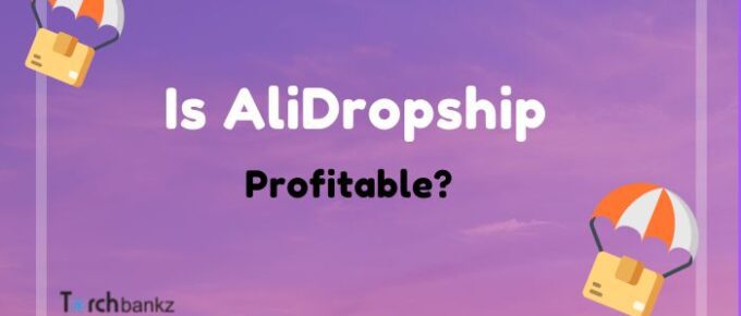 Is AliDropship Profitable?