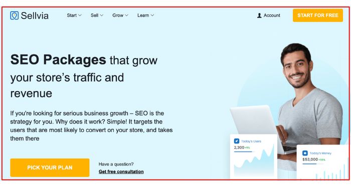 Sellvia SEO Package Review: Grow Your Store Traffic