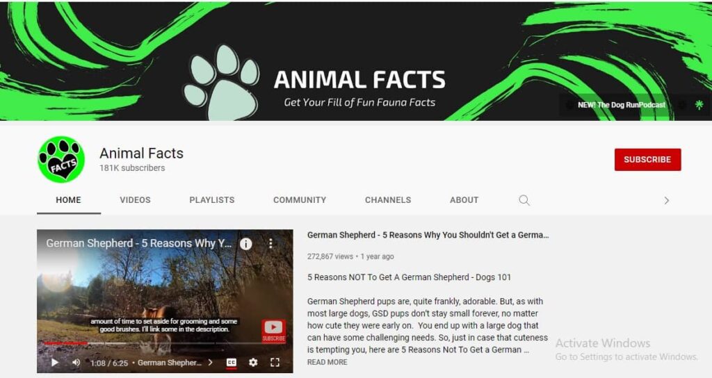 Animal Facts YouTube Channel