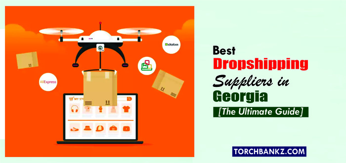 Best dropshipping suppliers in Georgia