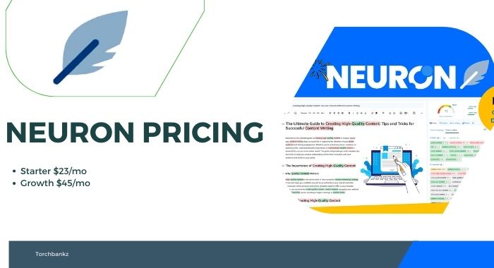 NeuronWriter Pricing: [⚠️ Cost and Plans ] 2024